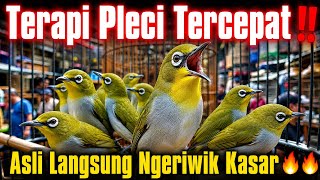 Download lagu Atasi Pleci Mancet Bunyi 🔥 TERAPI PLECI SEMUA JENIS AGAR NGERIWIK KASAR mp3 Download lagu Atasi Pleci Mancet Bunyi 🔥 TERAPI PLECI SEMUA JENIS AGAR NGERIWIK KASAR mp3