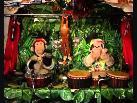 The Amazing Drumming Monkeys Song