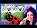 Learn Ladybug Facts For Kids Animals For Children On Tea Time With Tayla