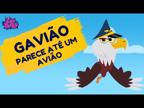 Zooparky - The Hawk [ children's music video ] - Brazilian Portuguese