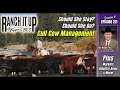 Sell Or Keep How To Make The Best Decision With Open Cows Cattle Industry News