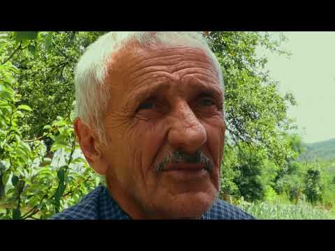 “PRVO… JA NEVALJAM…” 😆 (selo Lučani)