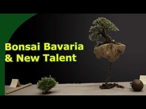 Bericht zur Bonsai-Ausstellung „Deutschland-Bonsai-Talent“ und „Bayerischer Bonsai-Ausstellung“