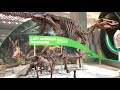 Smithsonian National Museum of Natural History | Hall of Fossils - Deep Time | observing tour.