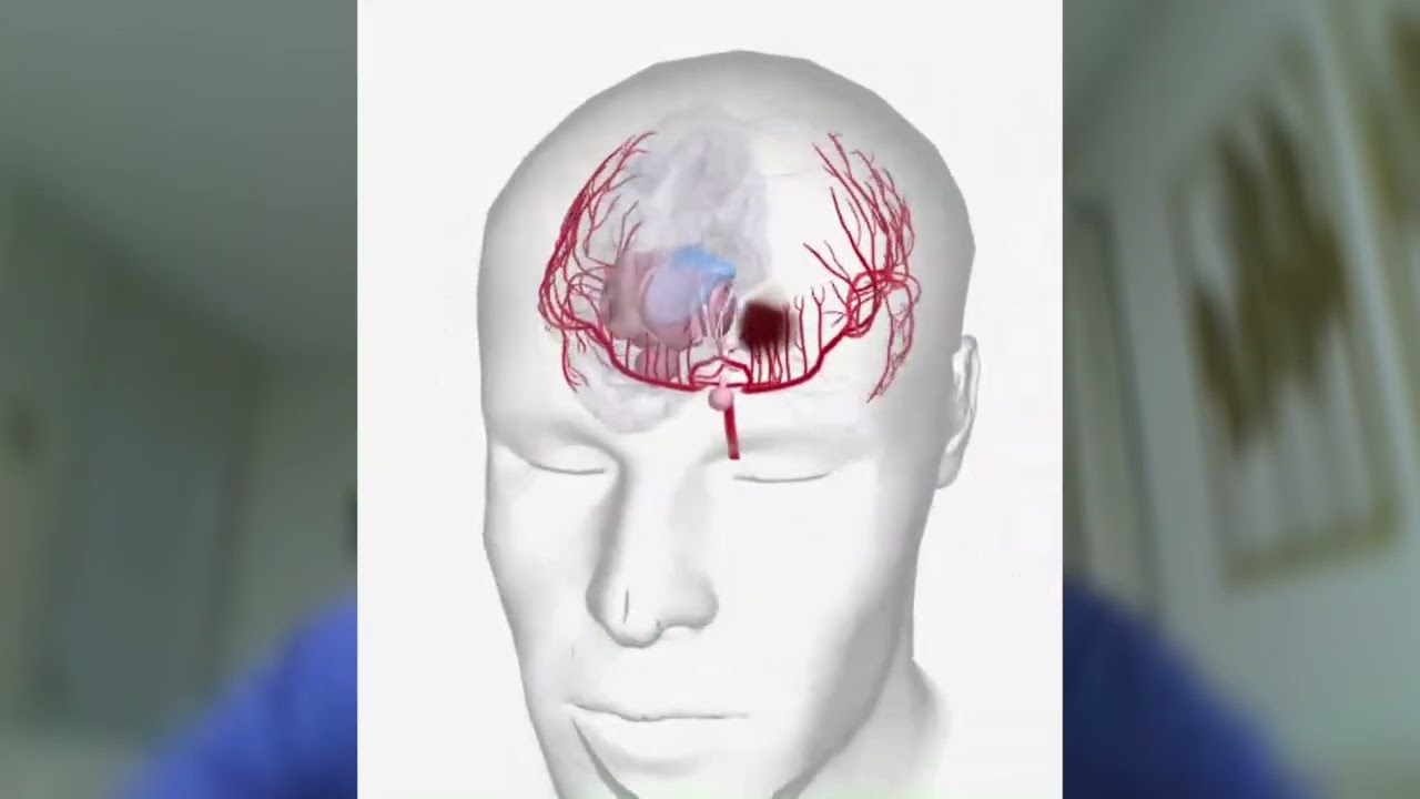 Abner Augusto Leandro De Lima-26