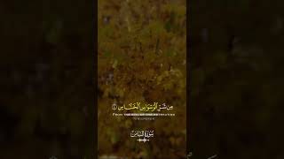 Download lagu Surah An-Naas | Soft Echo Recitation For Deep Relaxation 🎧 mp3 Download lagu Surah An-Naas | Soft Echo Recitation For Deep Relaxation 🎧 mp3