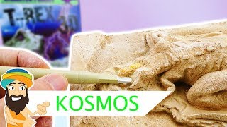 Kosmos T-Rex 3D ausgraben | Kinder Lernspiele deutsch | Spielzeug Guru