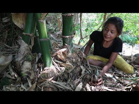 My Natural Food: Bamboo shoots food - Boiled bamboo shoots on clay for eating delicious #01 Video