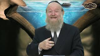 פרשת נח - כפוי טובה! | הרב יוסף צ. בן פורת - תשע"א (הרב יוסף צבי בן פורת) - התמונה מוצגת ישירות מתוך אתר האינטרנט יוטיוב. זכויות היוצרים בתמונה שייכות ליוצרה. קישור קרדיט למקור התוכן נמצא בתוך דף הסרטון פרשת נח - כפוי טובה! | הרב יוסף צ. בן פורת - תשע"א (הרב יוסף צבי בן פורת) - התמונה מוצגת ישירות מתוך אתר האינטרנט יוטיוב. זכויות היוצרים בתמונה שייכות ליוצרה. קישור קרדיט למקור התוכן נמצא בתוך דף הסרטון