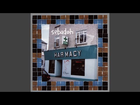 Cant Give Up - Sebadoh