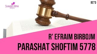 Parashá Shoftim 5778