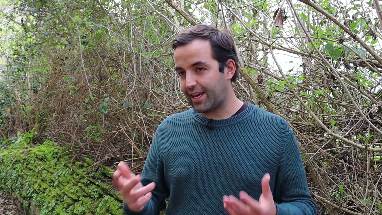 Un día en Lugo con Guido Álvarez: conoce todo lo que esta ciudad milenaria tiene para ofrecer.