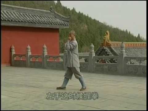 Shi de Yang - 03 - Shaolin Xiao Hong Quan 2/2