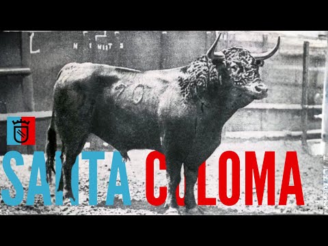 🐂 El encaste Santa Coloma 🐂