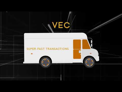 VINESTATE COIN INTRODUCTION