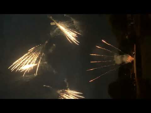 5305   Brocade horsetail fan