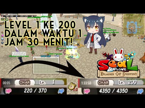 Mage Leveling 1-200 in 1h 35m - Tips/Tricks (Seal Online Blade of Destiny)