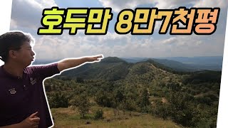 온 산을 통째로 호두로 덮어버린 남자(The man who covered the mountain with w…