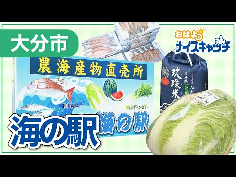 [Oita City] Sea Station Ozai (transmissão em 28 de dezembro de 2022)