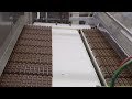 Inside Whittaker S New Zealand Chocolate Factory Newshub
