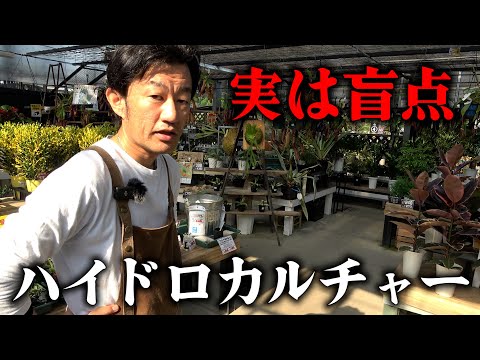 水耕栽培植物はこの11種類がおすすめ 庭の練習