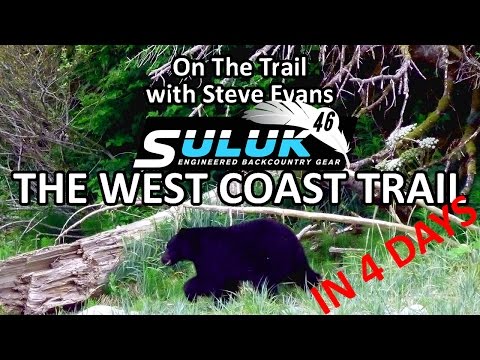 4 Days Hiking The West Coast Trail on Vancouver Island - Bear Encounter