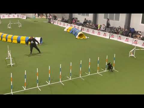 Ninja at Reborn to Run Again competition