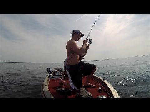 GoPro: Daniel Vyerberg - Best Catch 06.07.15 - Fish