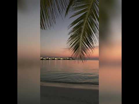 Andry Kiddos - Sin internet