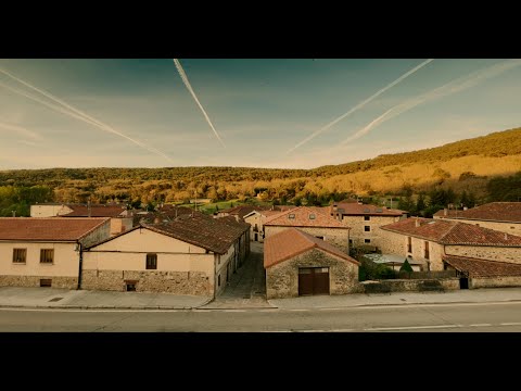 Para ver en BAFICI 26 Suerte de pinos una historia familiar de Lorena Muñoz #podcast #bafici  #cine