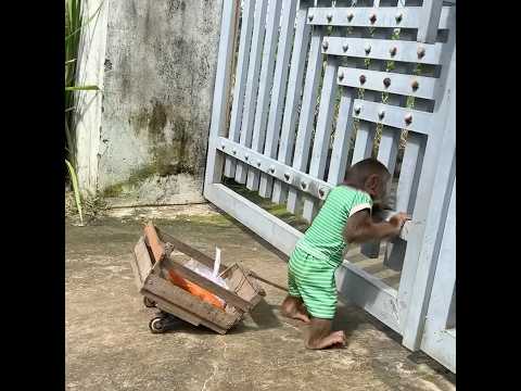 bất ngờ khỉ việt nam nổi tiếng vì quá thông minh, ai cũng muốn gặp