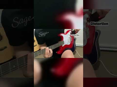 SEG001 Electric + Mini Amp — Demo