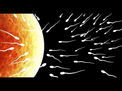 Neqoftese keni nje sperme te tille duhet te keshilloheni me mjekun