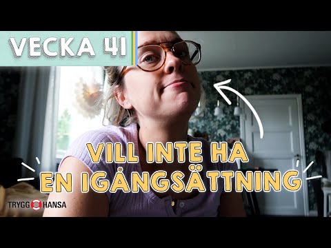 SISTA DAGARNA SOM GRAVID! - Susanna Karlsson vecka 41