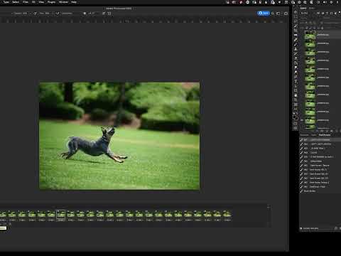 Animated GIF from photos in Photoshop with a bounce