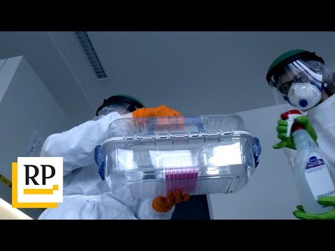 Corona-Mutante breitet sich aus - nun rund 30 Prozent Anteil