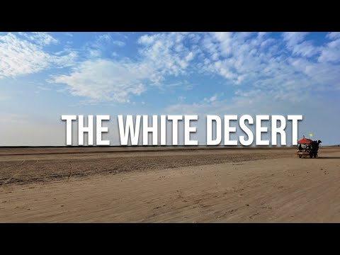 Tent City Dhordo Room Tour & Epic White Desert Sunset | Kutch Vlog 03