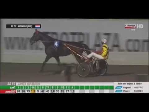 VOLTIGEUR DE MYRT - WOLVEGA - FABER PRIX DES GÉANTS 2015