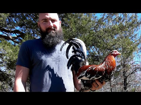 Legends Farm, Before The Molt