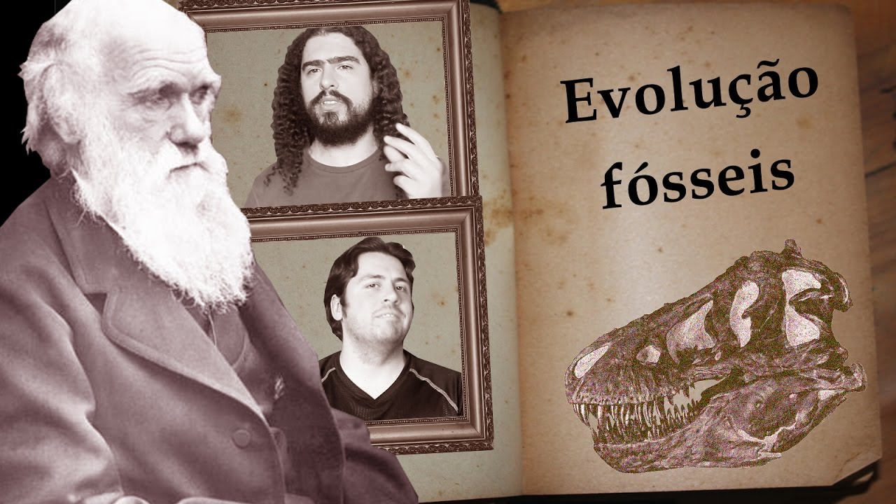 Fósseis: as figuras do livro da Evolução PARTE 1 (#Pirula 210.1)