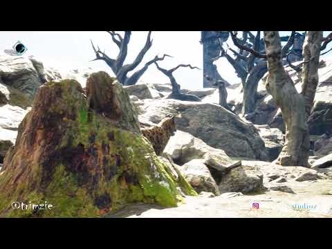 FACE OFF - Iclone8 + UE5