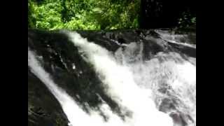 preview picture of video 'Excursionismo Cenzontle  cascada ubicado a un 5 00 mts. del ejido costa rica por mapastepec'