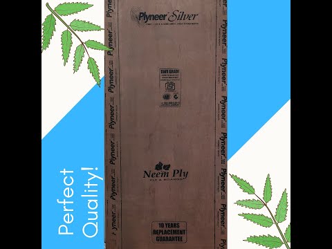 Plyneer Silver BWR Plywood