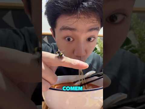 E eu achando que tinha visto tudo… o cara tem uma abelha de estimação 😭🐝 #effect