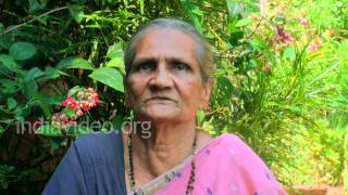 Native medicine for swollen udder of cows - Satavari