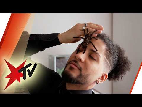 Er lebt mit 40 Spinnen zusammen: Deutschlands erster Spinnfluencer | stern TV