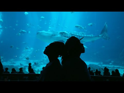 NoniniMgenge2ru and Jay Good Vibes