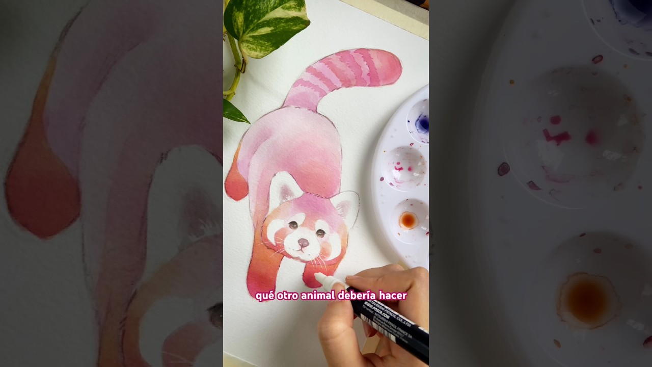 Panda rosa 💗 red panda #art #watercolor #acuarela #dibujo #arte - YouTube