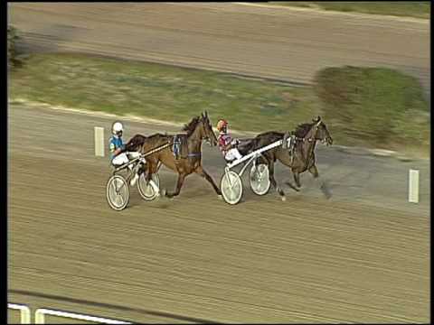 Trotto 30/09/2016 - 2ª prova di qualifica