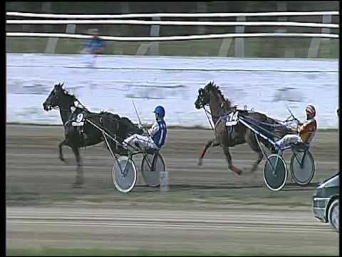 Trotto 24/09/2015 - 2° corsa